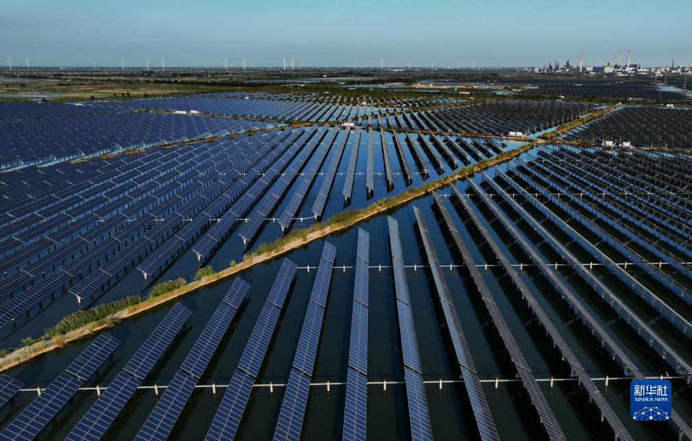 太阳城游戏登录
